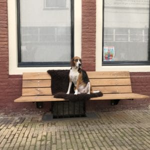gevelbank rugleuning
