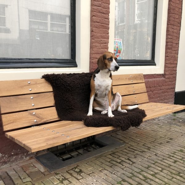 gevelbank utrecht op maat